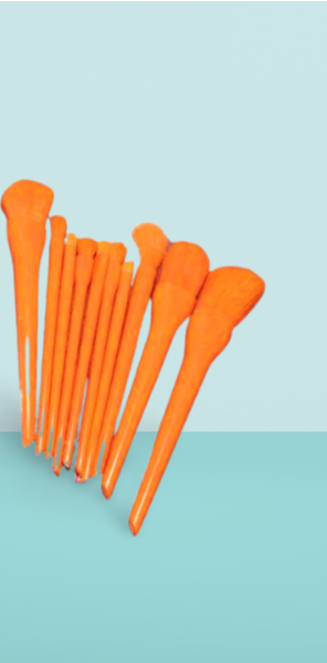 10 Pcs Professional Makeup Brush Set – Face, Eyes & Lips | Concealer, Blush, Eyeshadow, Highlighter |Orange